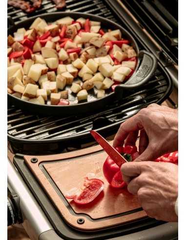 Weber Barbecue a Gas Traveler 9010053 Weber Barbecue a Gas Traveler 9010053