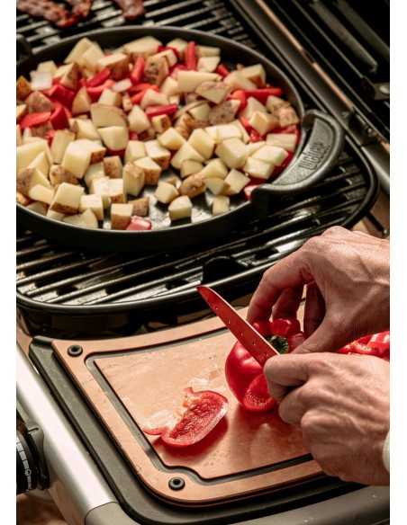 Weber Barbecue a Gas Traveler 9010053 Weber Barbecue a Gas Traveler 9010053