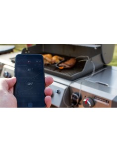 Sonda compatibile con termometro Weber iGrill su sfondo bianco 2