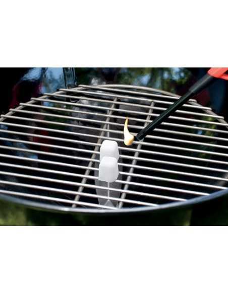 Ciminiera di accensione piccola Weber accensione cubi accendifuoco su griglia focolare