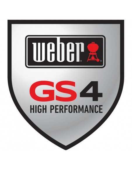 Weber Genesis II LX S-640 GBS gas grill 63004129 stemma sistema gs4