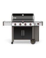 Weber Genesis II